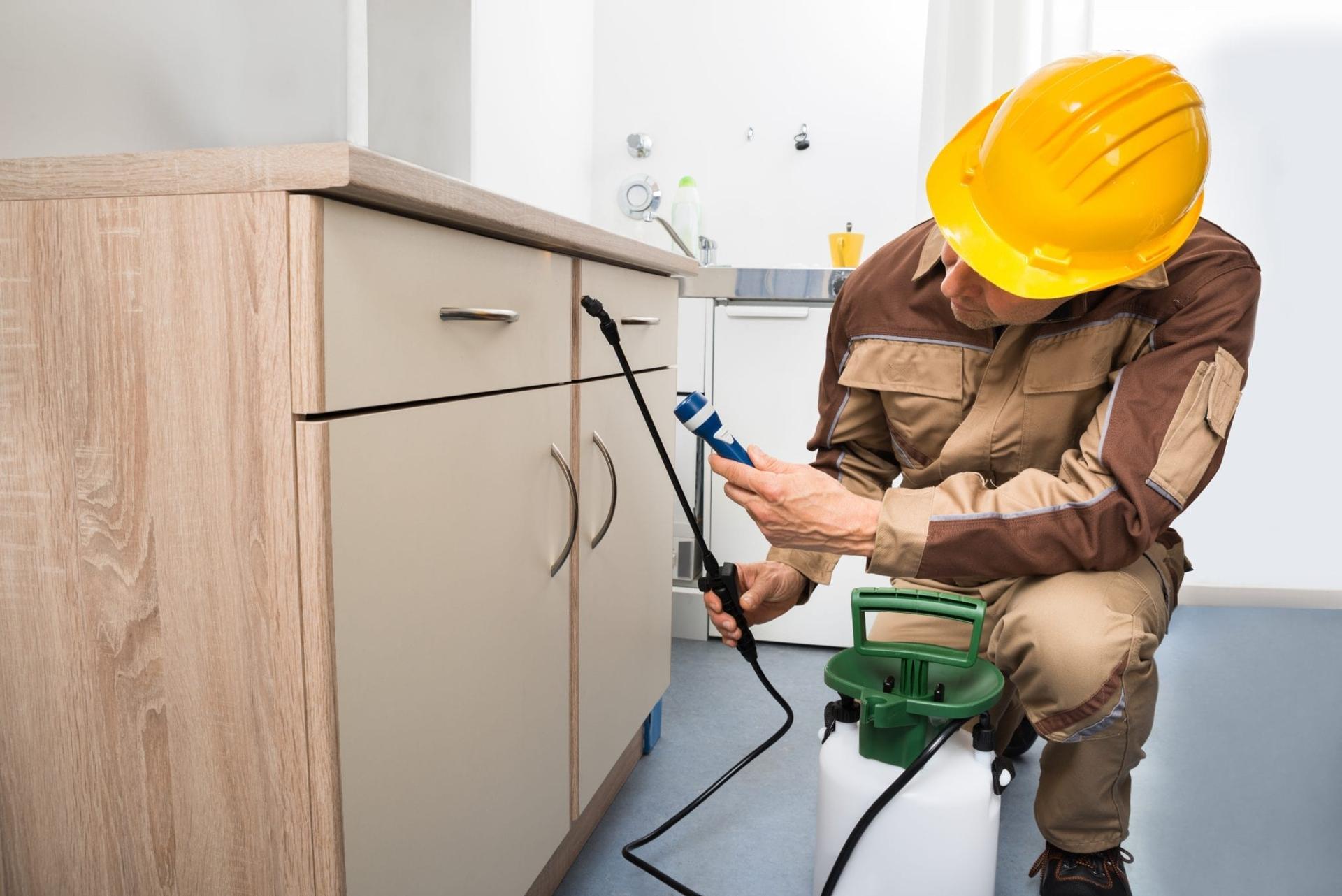 pest controller spraying cabinets